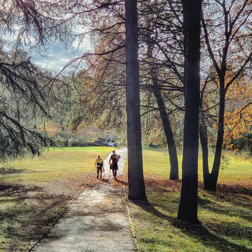 Checkliste Herbst-Spaziergang [Pixabay #6920500]