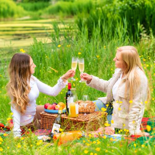 Picknick [Pixabay #8792162]
