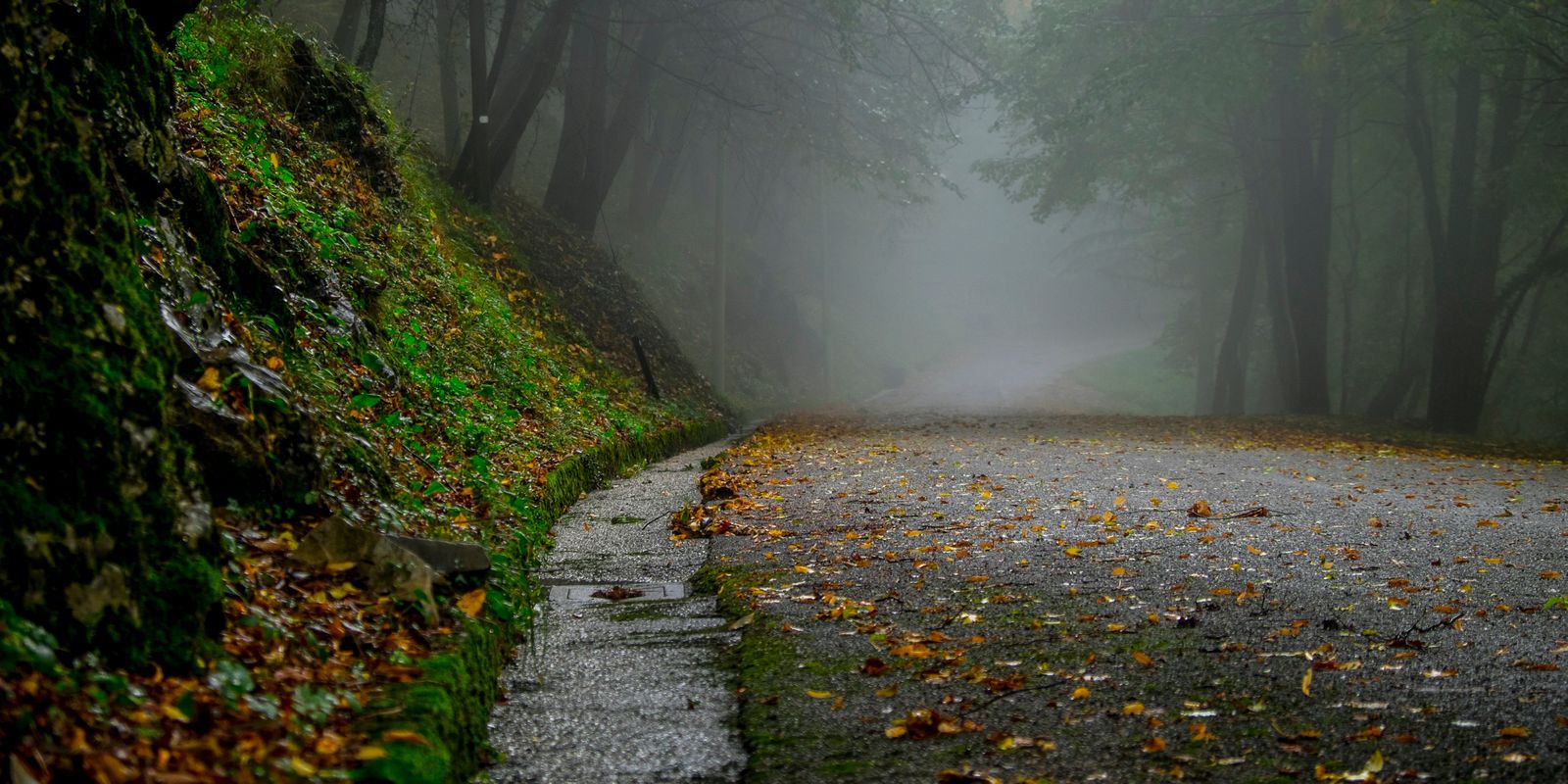 Checkliste Herbst-Spaziergang [Pixabay #7541217]