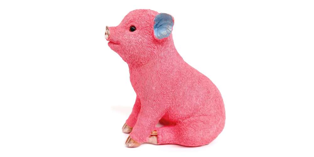 Sparschwein